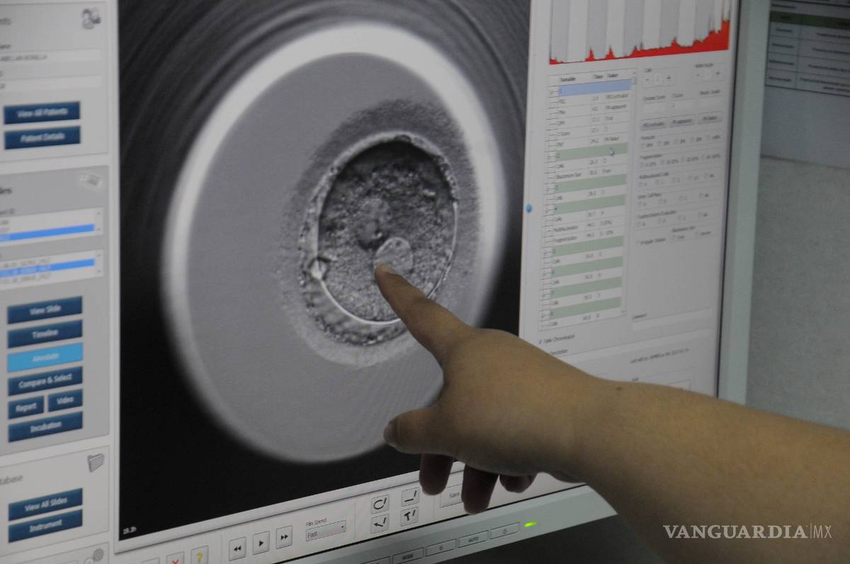 $!Ahora ya puedes elegir el sexo de tu hijo