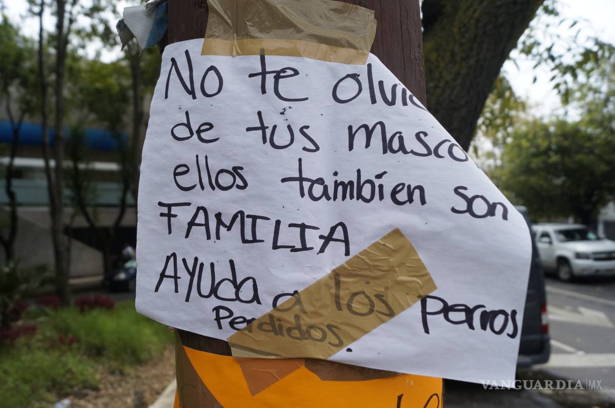 $!Trabajos de rescate en colegio Rébsamen continúan a tres días del sismo (Cobertura Vanguardia)