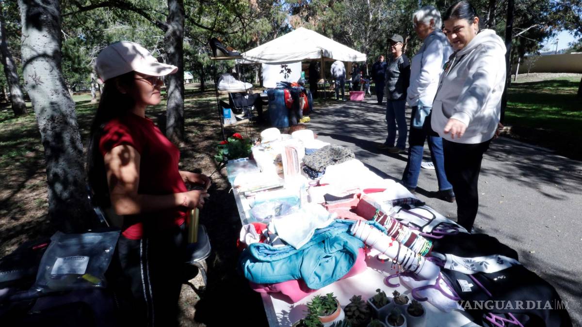 Organiza Sema bazar segunda oportunidad para el oso negro