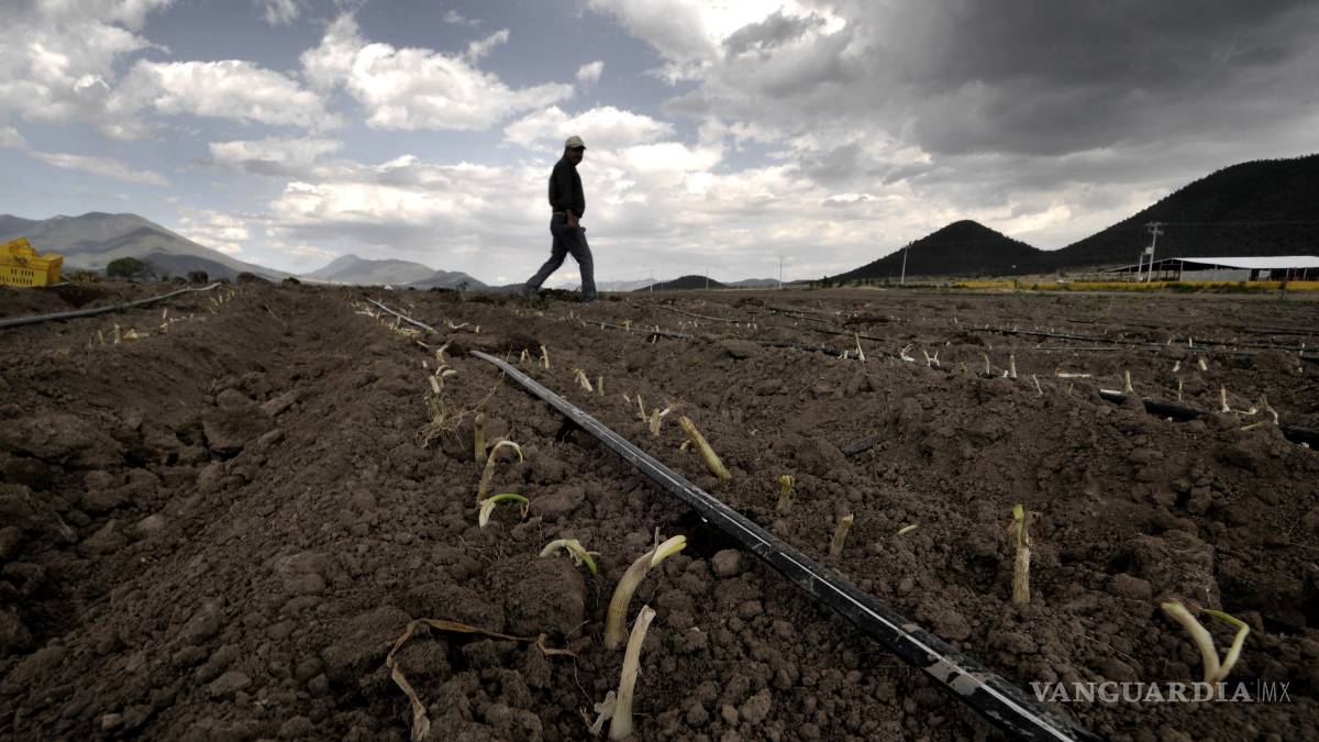 Imparte Sagarpa en Coahuila y Nuevo León, talleres de capacitación sobre agricultura familiar