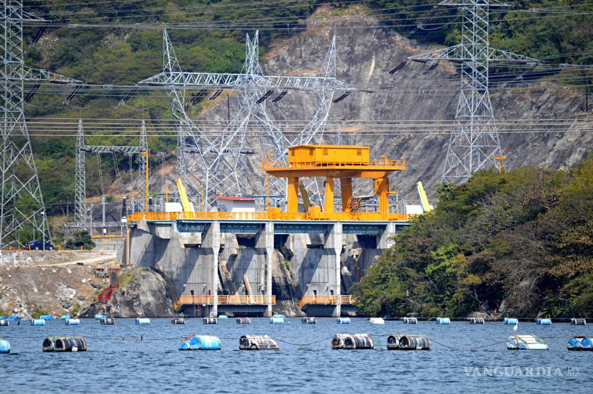 $!Incumple AMLO 8 de 9 promesas ambientales