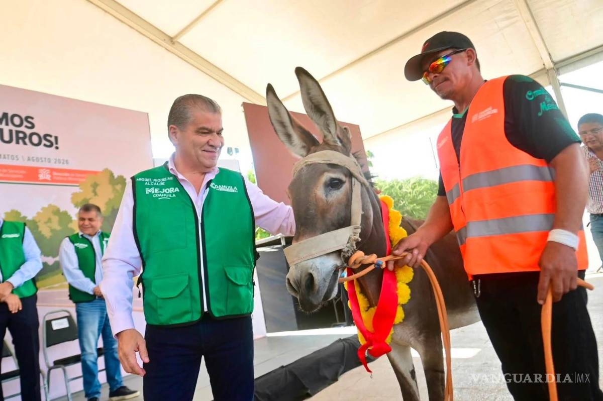$!Será en los próximos días cuando el alcalde Miguel Ángel Riquelme, entregue 30 motocarros para jubilar a igual número de equinos.