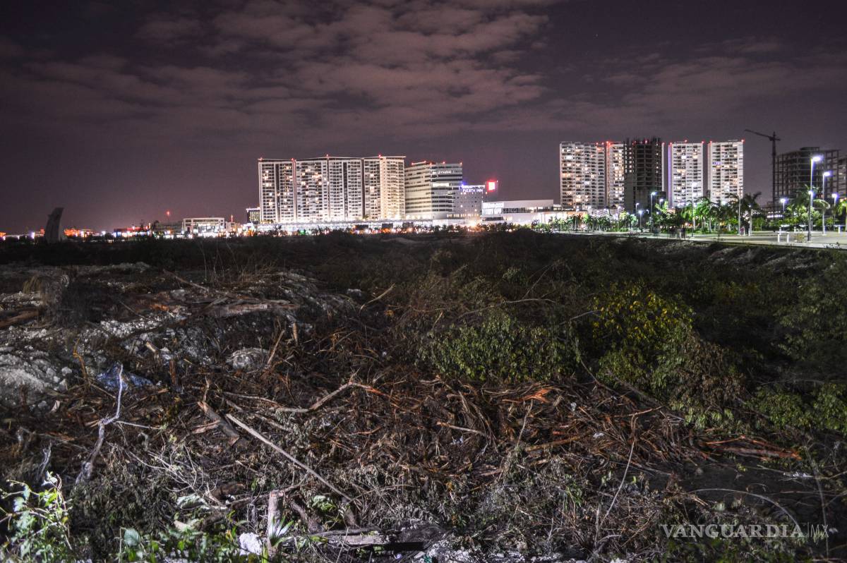 $!ONG insisten que fue ecocidio en Tajamar