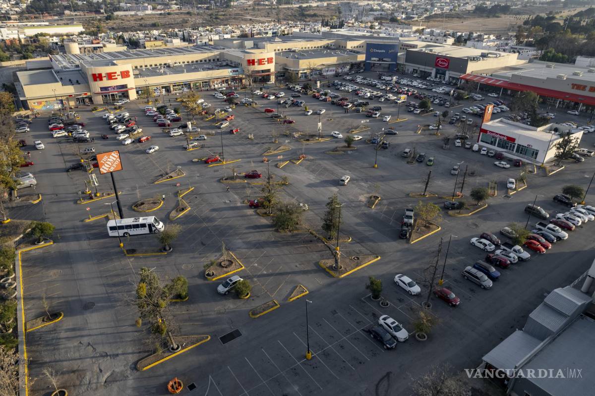 $!El espacio enfrenta condiciones adversas para la vegetación por el poco suelo fértil y el calor del estacionamiento.