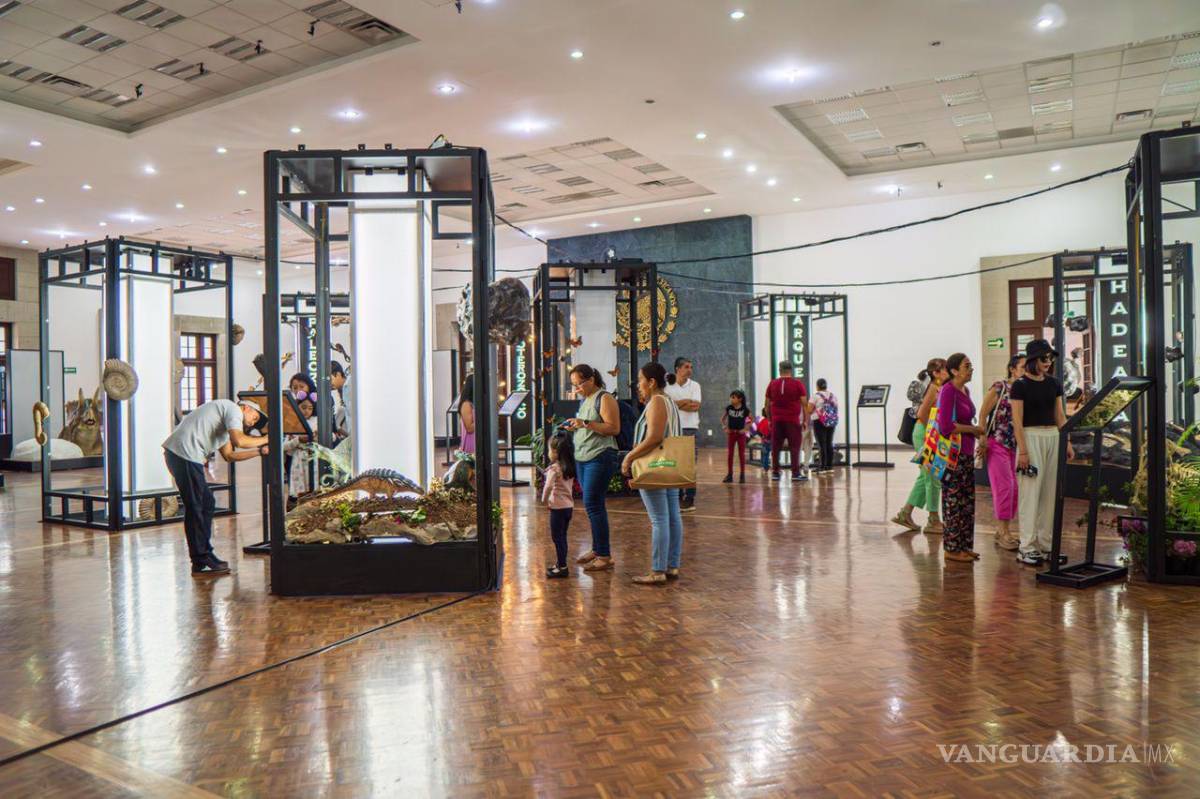 $!Las salas interiores de Los Pinos también cuentan con actividades e instalaciones.