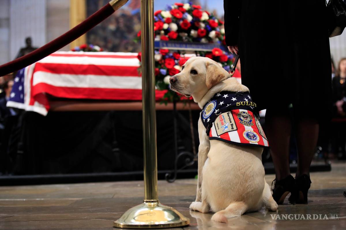 $!Sully, el perro del expresidente George H. W. Bush se despide de su amo (Fotogalería)