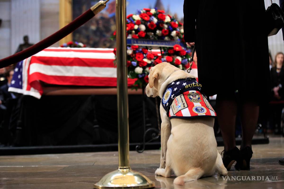 $!Sully, el perro del expresidente George H. W. Bush se despide de su amo (Fotogalería)