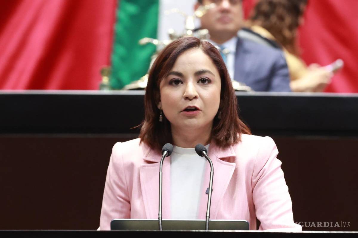 $!Diputada Irais Reyes De la Torre, del Movimiento Ciudadano, plantea reformar el artículo 4º de la Carta Magna | Foto: Especial