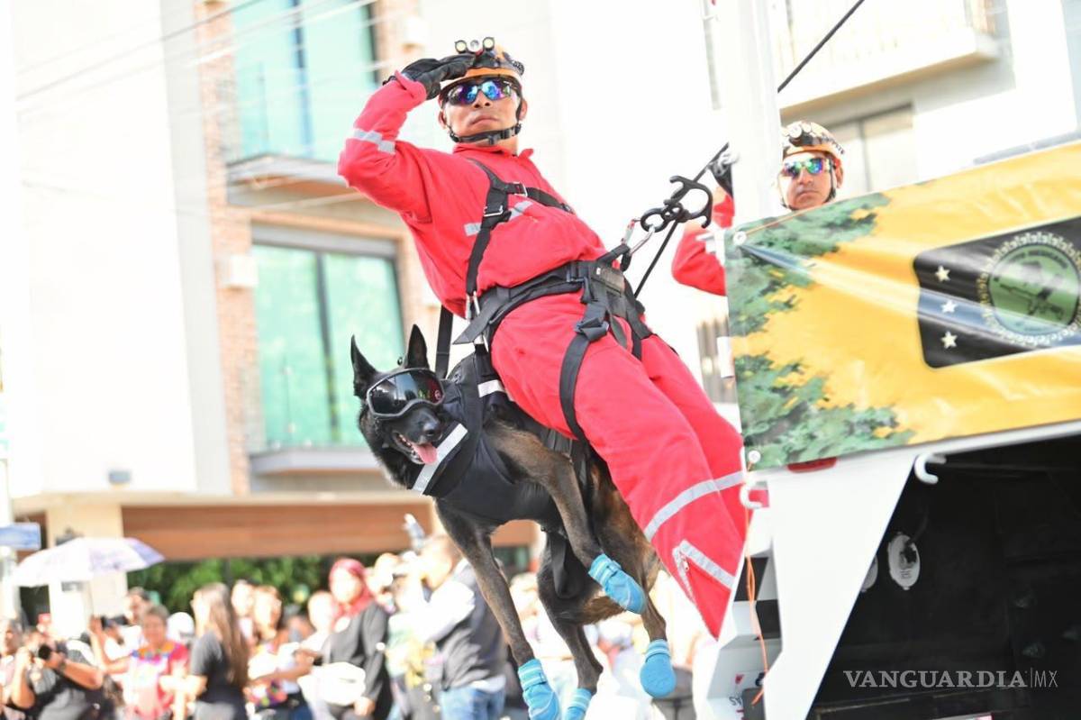 $!Un binomio canino participó en el desfile cívico-militar realizado este miércoles en Torreón.