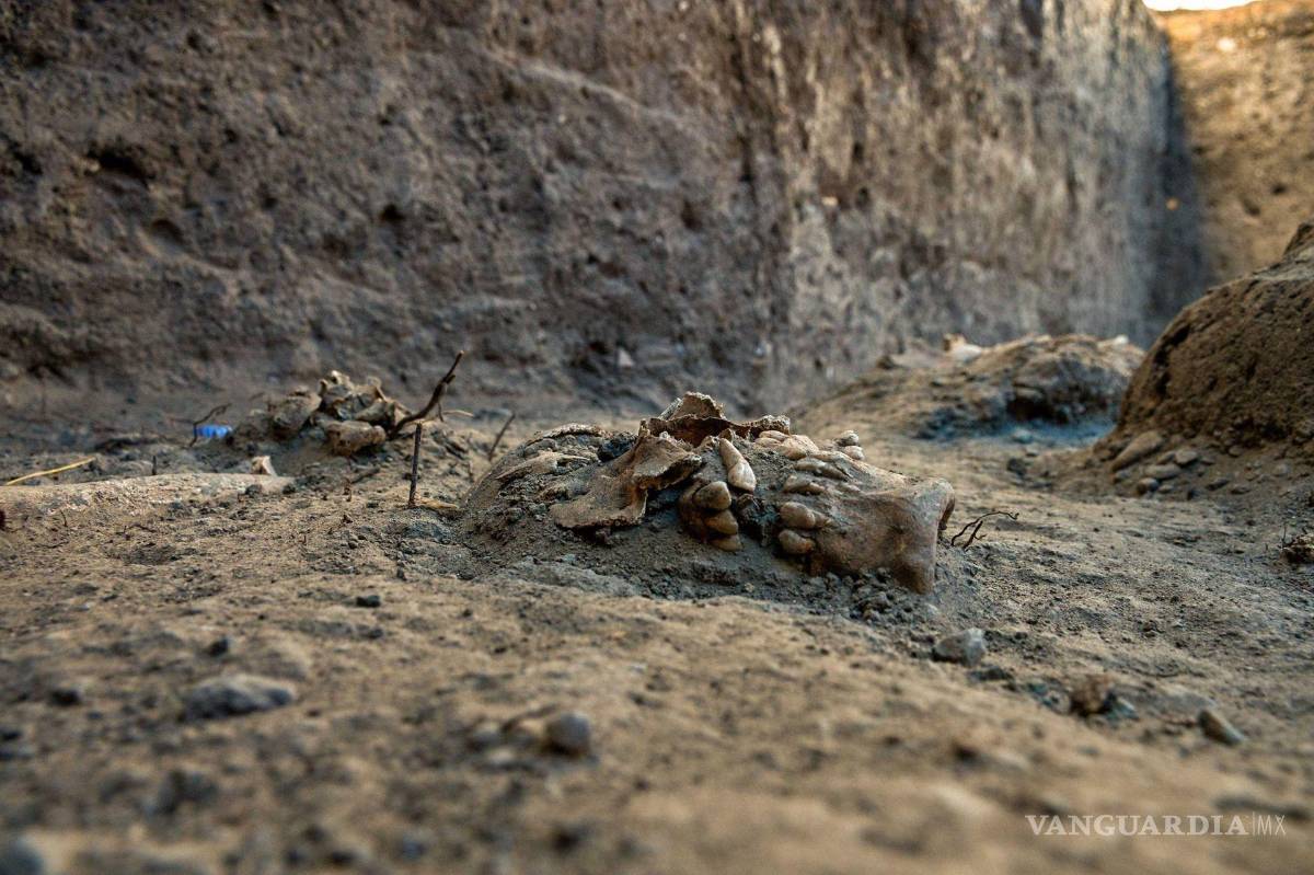 $!INAH se ha concentrado en la zona conocida como “estacionamiento ecológico”, donde se ejecutan obras para su integración con el Centro Cultural del Bosque, en las inmediaciones de Campo Marte.