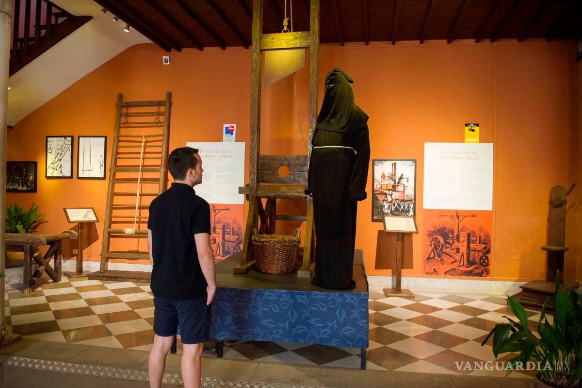 $!Un tiburón que vive 400 años y otras curiosidades que parecen un cuento, pero son verídicas