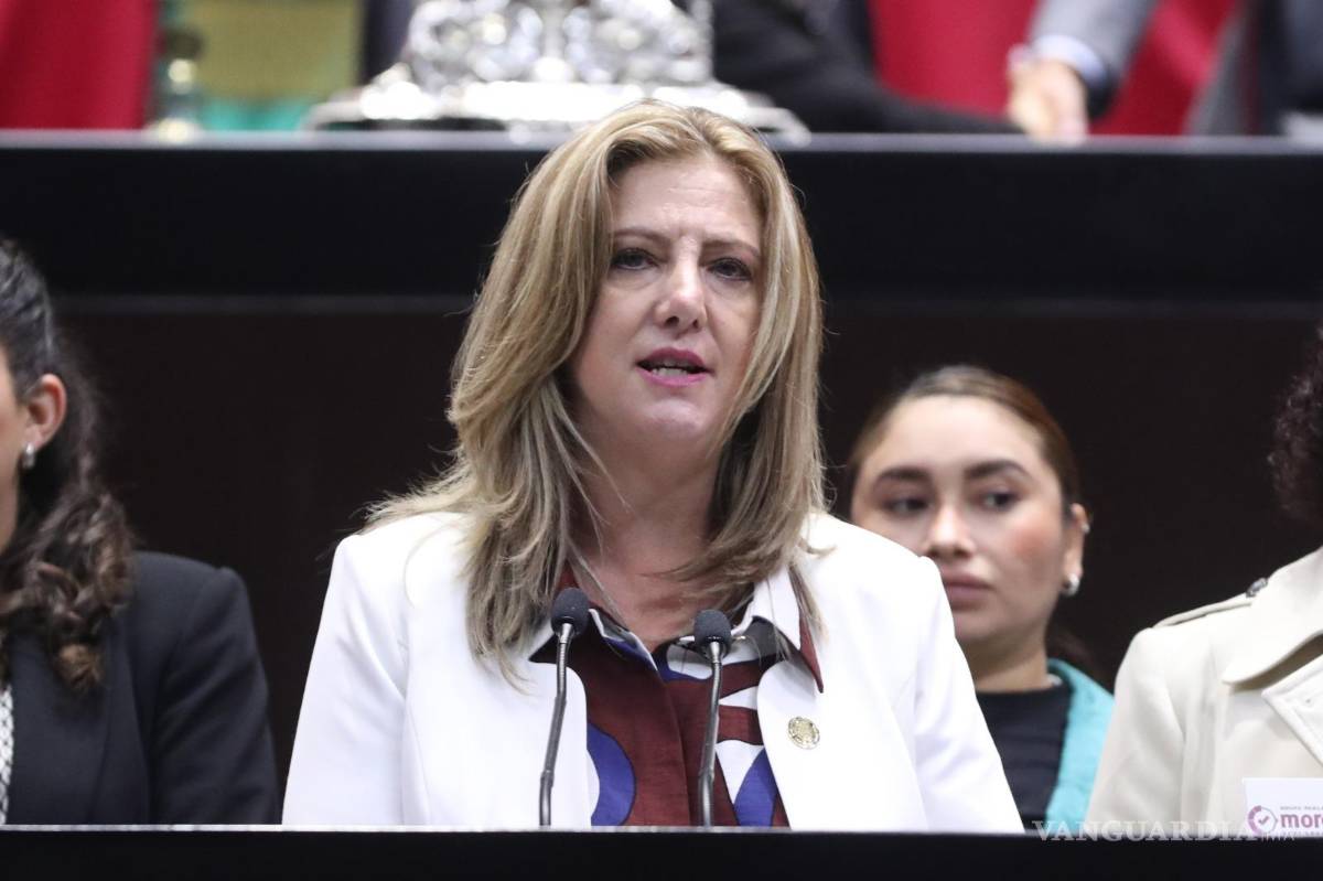 $!• La diputada Ballesteros García (Morena) plantea adicionar los artículos 42 Ter, 47 Bis 5 y 87 Bis de la Ley de Aviación Civil| Foto: Especial