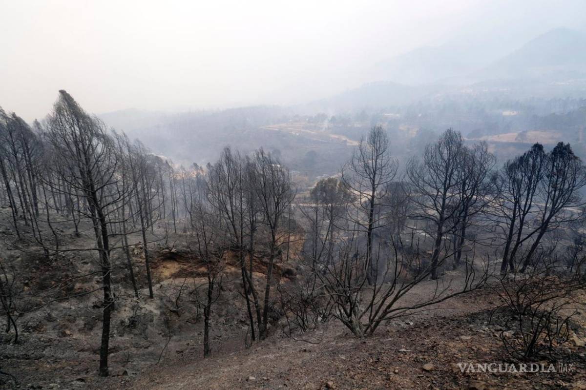 $!Incendio forestal en sierra de Arteaga sin control; evacuan a ejidatarios de San José de Boquillas