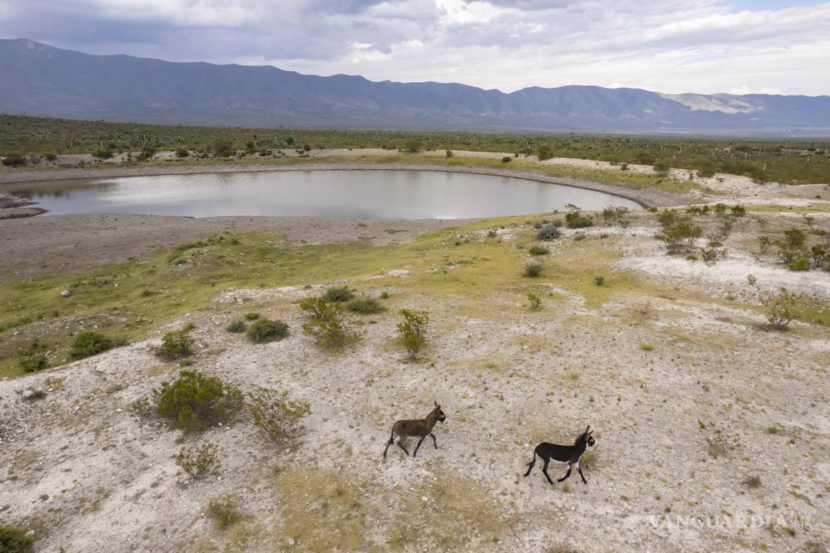 $!﻿El ejido Hedionda Grande es uno de 36 predios en Coahuila que se han sumado a programas para la conservación voluntaria