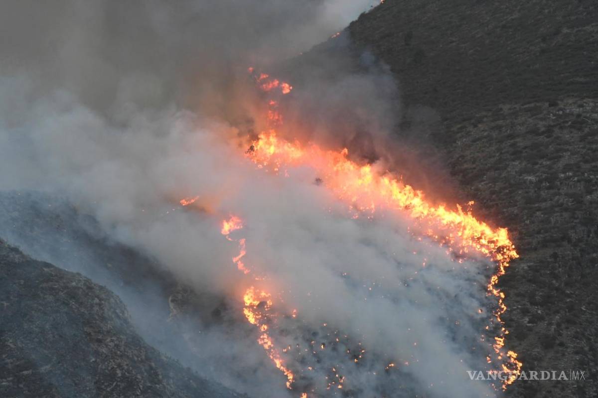 $!Aún sin registro de hectáreas consumidas por incendio en Zapalinamé; combaten 200 personas el fuego