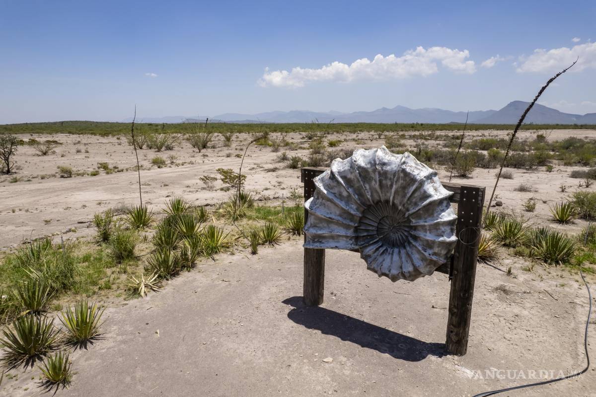 $!En la reserva Rancho Amonites está prohibida la cacería y buscan proteger los vestigios arqueológicos y paleontológicos.