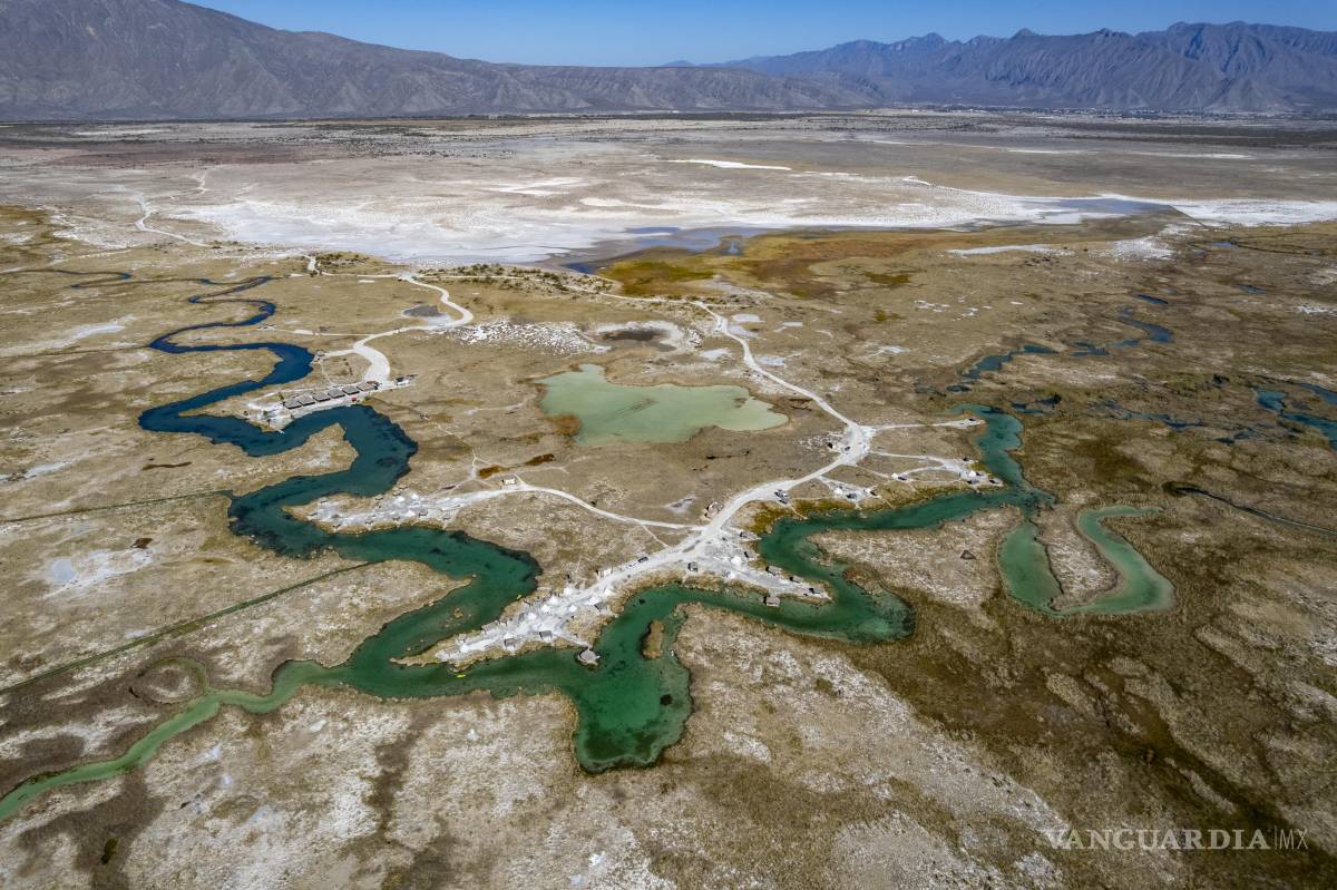 $!Para la Fundación Pro Cuatrociénegas, el regreso del bisonte representa también una oportunidad de apostarle al ecoturismo.