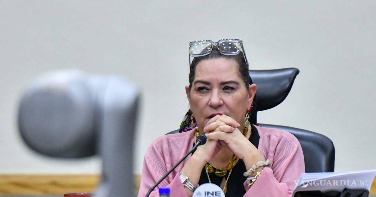 Guadalupe Taddei rechaza renunciar al INE tras acusaciones por presuntos vínculos con proveedores