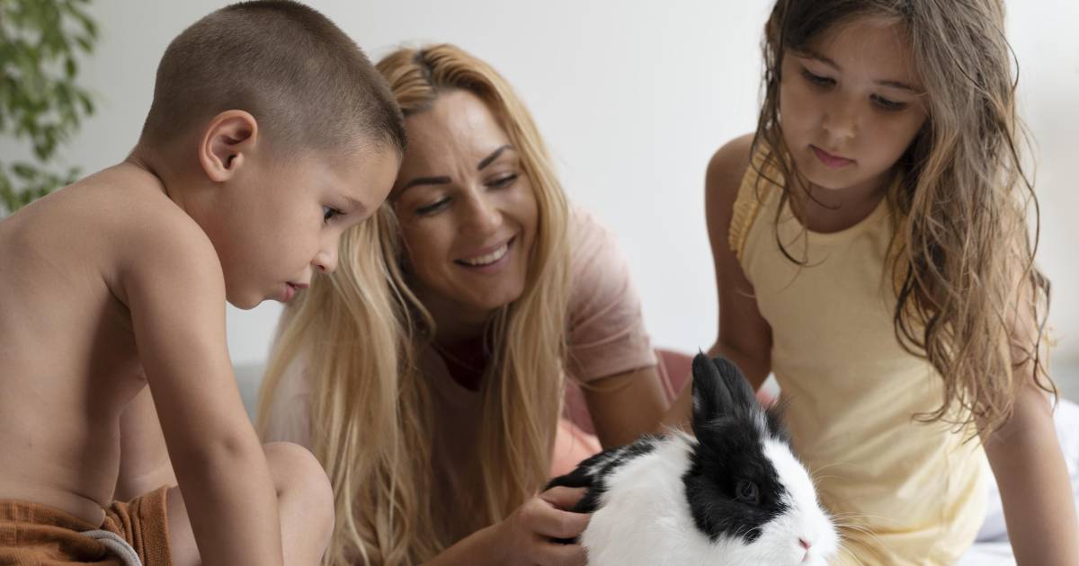Aprendiendo a querer a los animales, una guía para familias