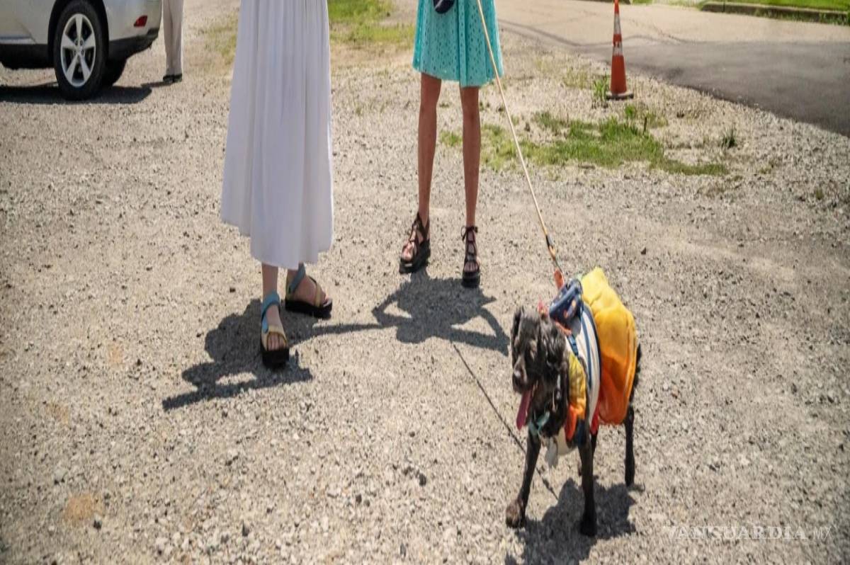 $!Charolette Baierl (i) y Sally Simpson (d) protestan contra un centro de datos proyectado cerca del parque Rachel Carson Riverfront en Cheswick, Pensilvania.