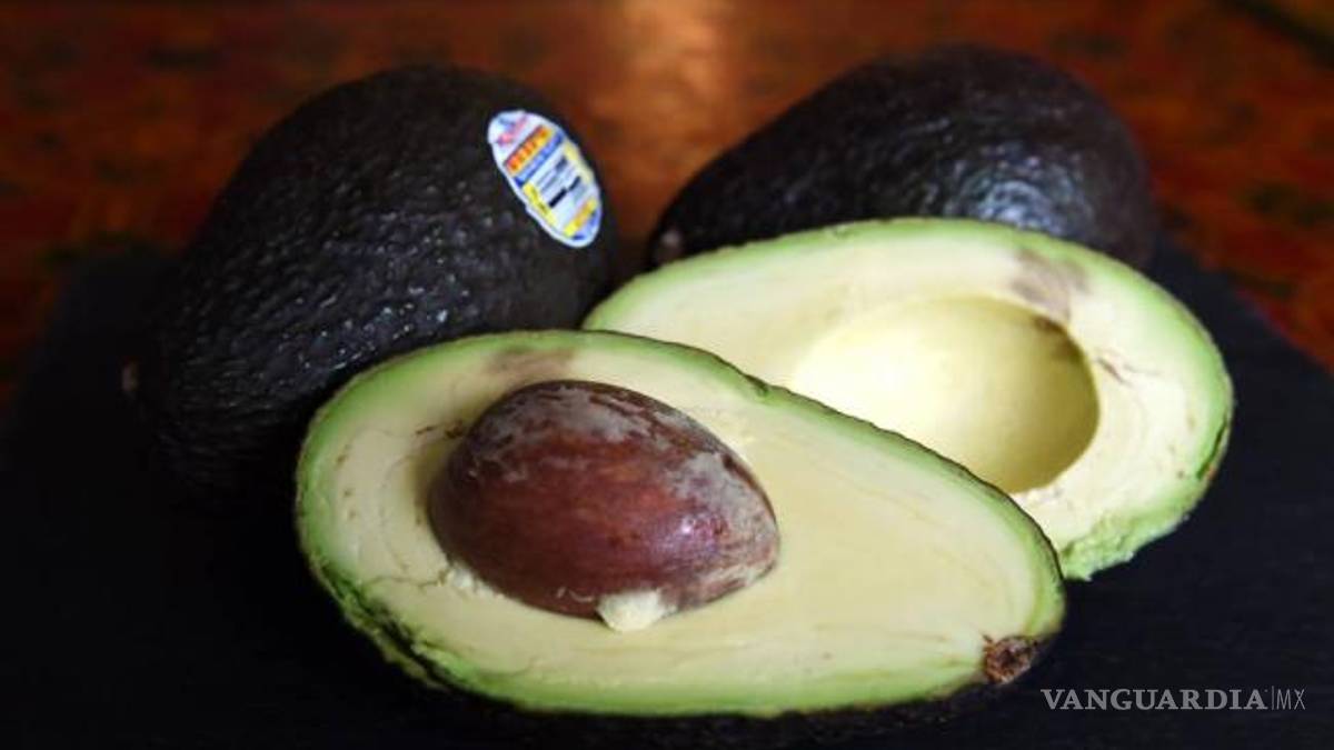 Productores de aguacate prevén precio estable en tres semanas