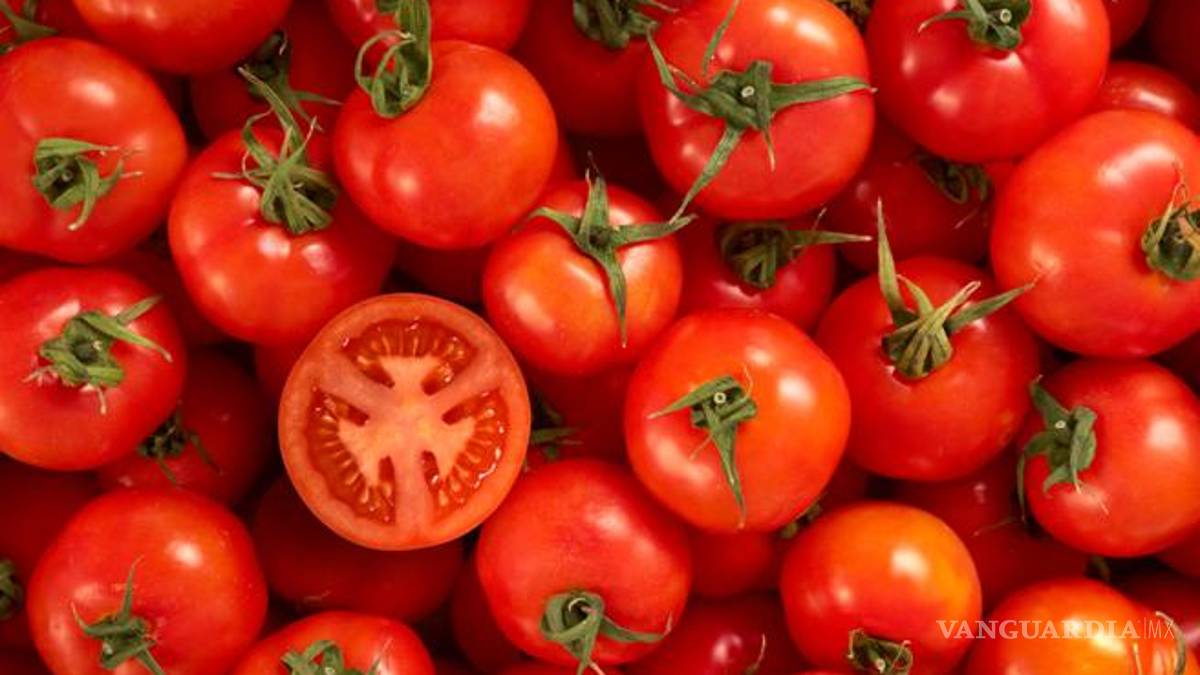 ‘La guerra de los tomates y las berries’, el nuevo choque entre México y EU