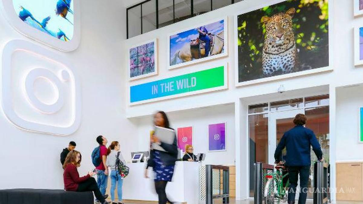 Instagram llega a los 700 millones de usuarios