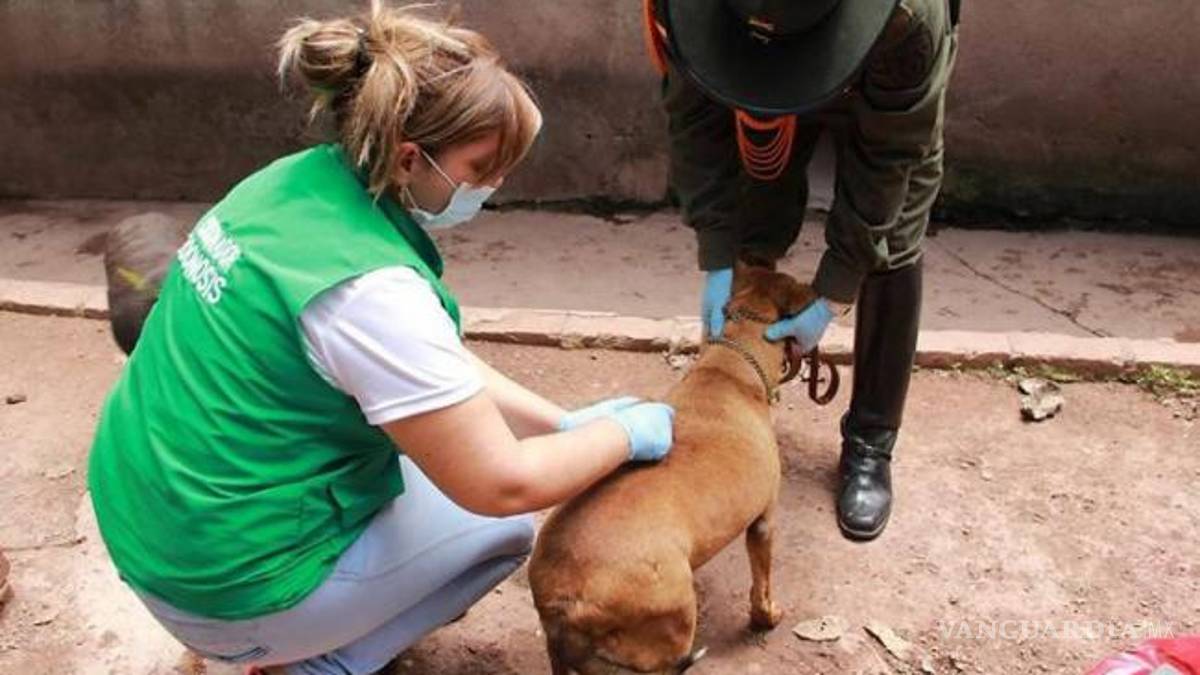 En Acuña más de 21 años sin casos de rabia