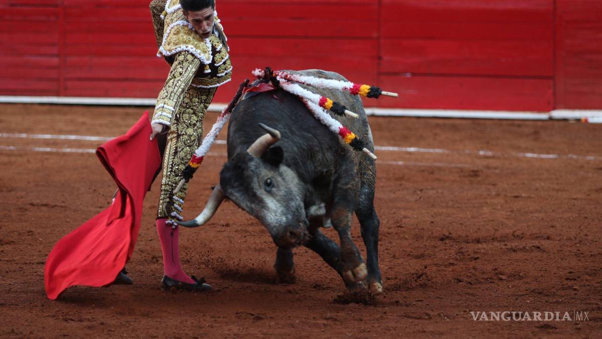 ¿Adiós corridas de toro? Plaza México afirma que legislación impide celebración de estos eventos