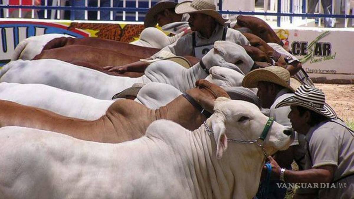 Piden elevar el estatus zoosanitario de Coahuila para la ganadería