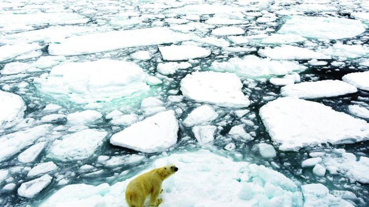 ¿Una nueva era en la Tierra por el daño del ser humano? Cambio climático, contaminación genera una nueva etapa