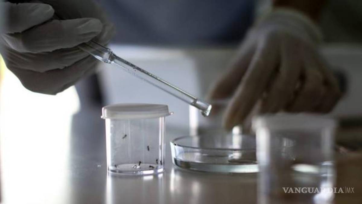 Se elevan los casos de zika a 183 en México: Ssa