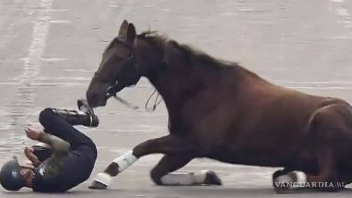Cae jinete y caballo tras intentar riesgosa maniobra en desfile en el Zócalo (video)
