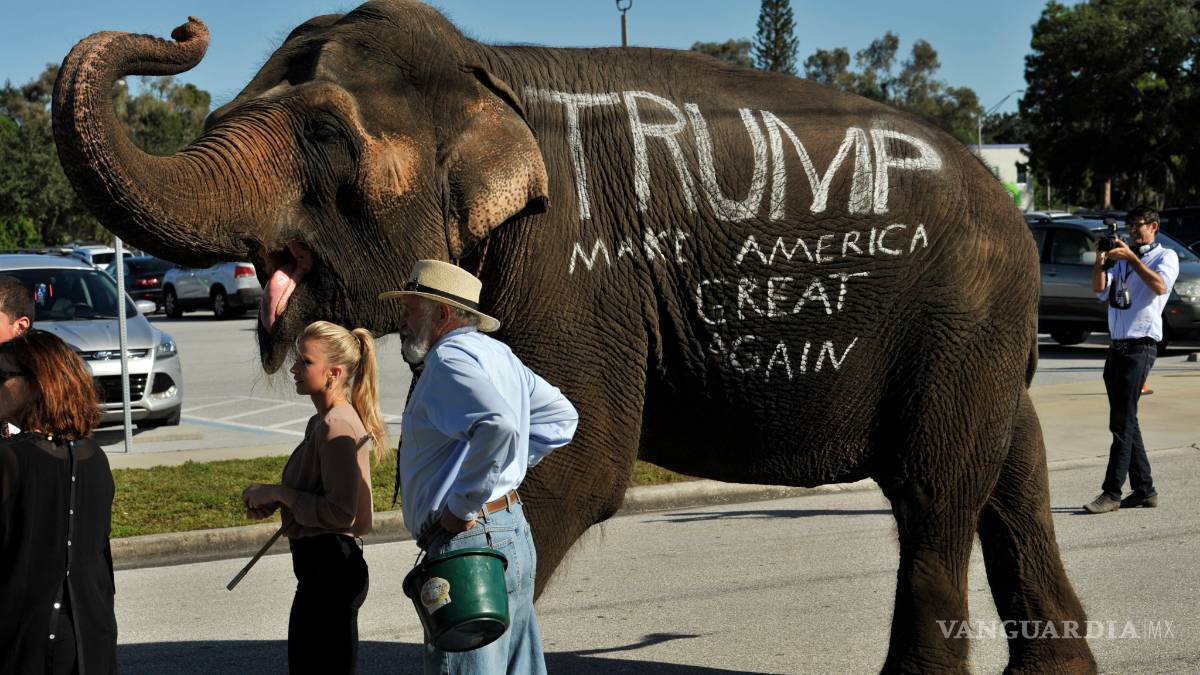 Donald Trump utilizó un elefante para hacer campaña en Florida