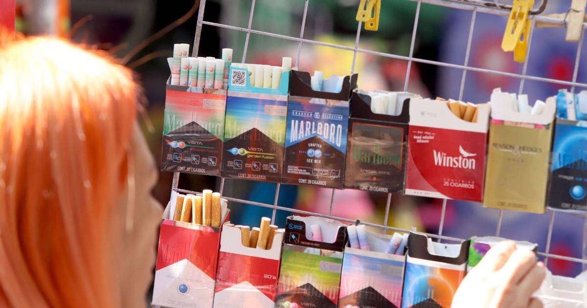 Revela estudio que el mercado negro del tabaco causa pérdidas fiscales millonarias en México