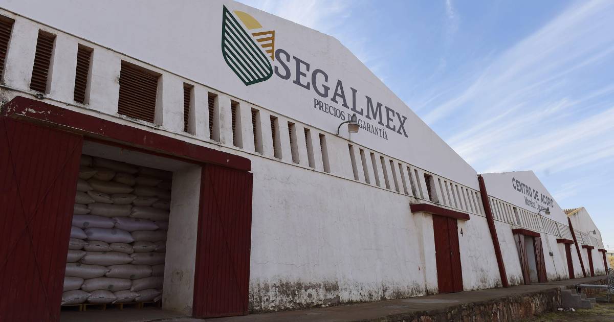 Suman 27 detenidos por escándalo en Segalmex: Secretaría Anticorrupción