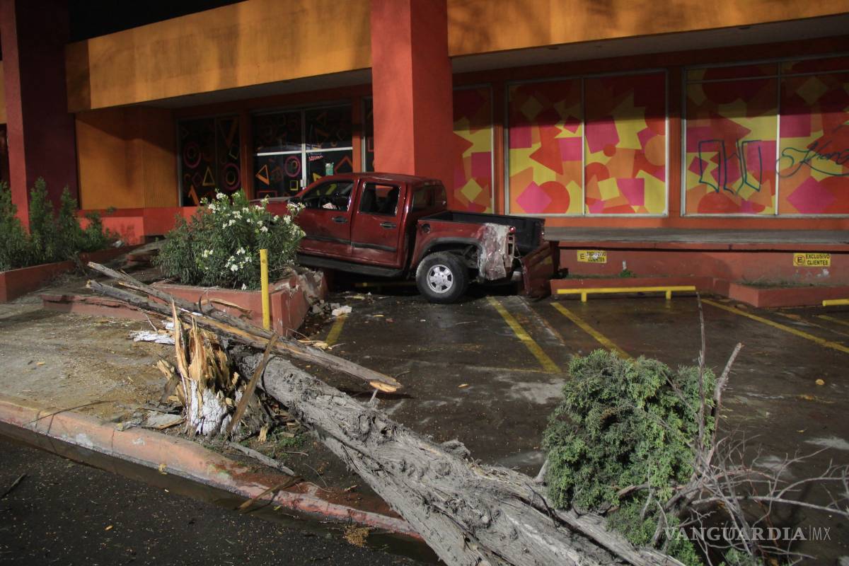Se estrella contra un pino y sale ileso en Saltillo