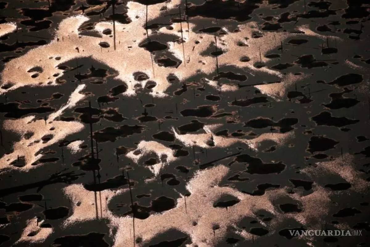 Cae extraña lluvia gris por incendios en la Amazonía