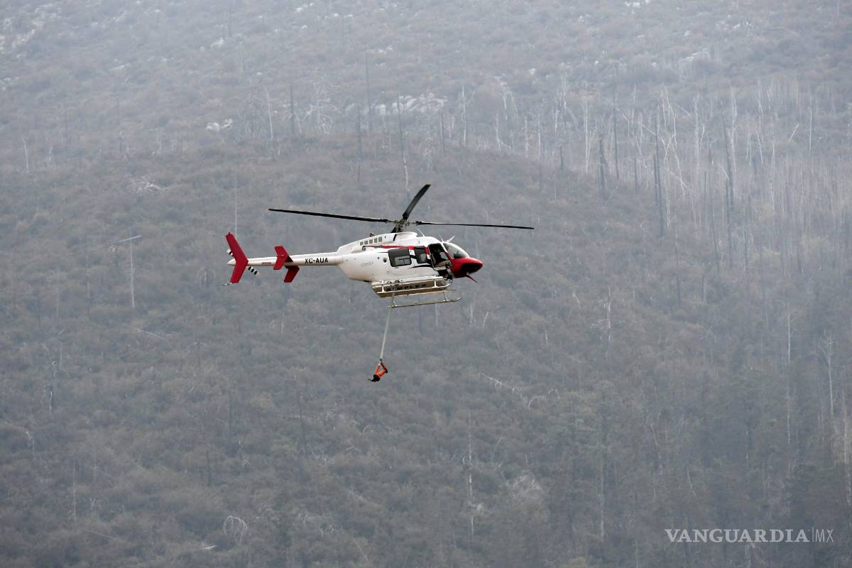 $!Controlado al 90% incendio de 'La Pinalosa' en Arteaga
