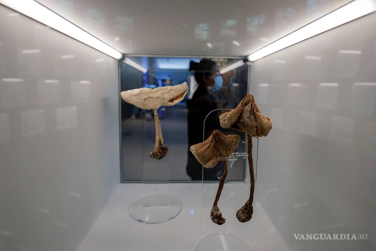 UNAM inaugura su Pabellón de la Biodiversidad con el apoyo de la Fundación Slim