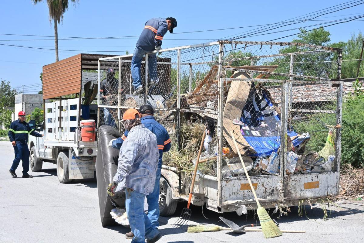$!Parques y Jardines intensificó las labores de poda y desmonte tras el crecimiento de la maleza provocado por las lluvias.