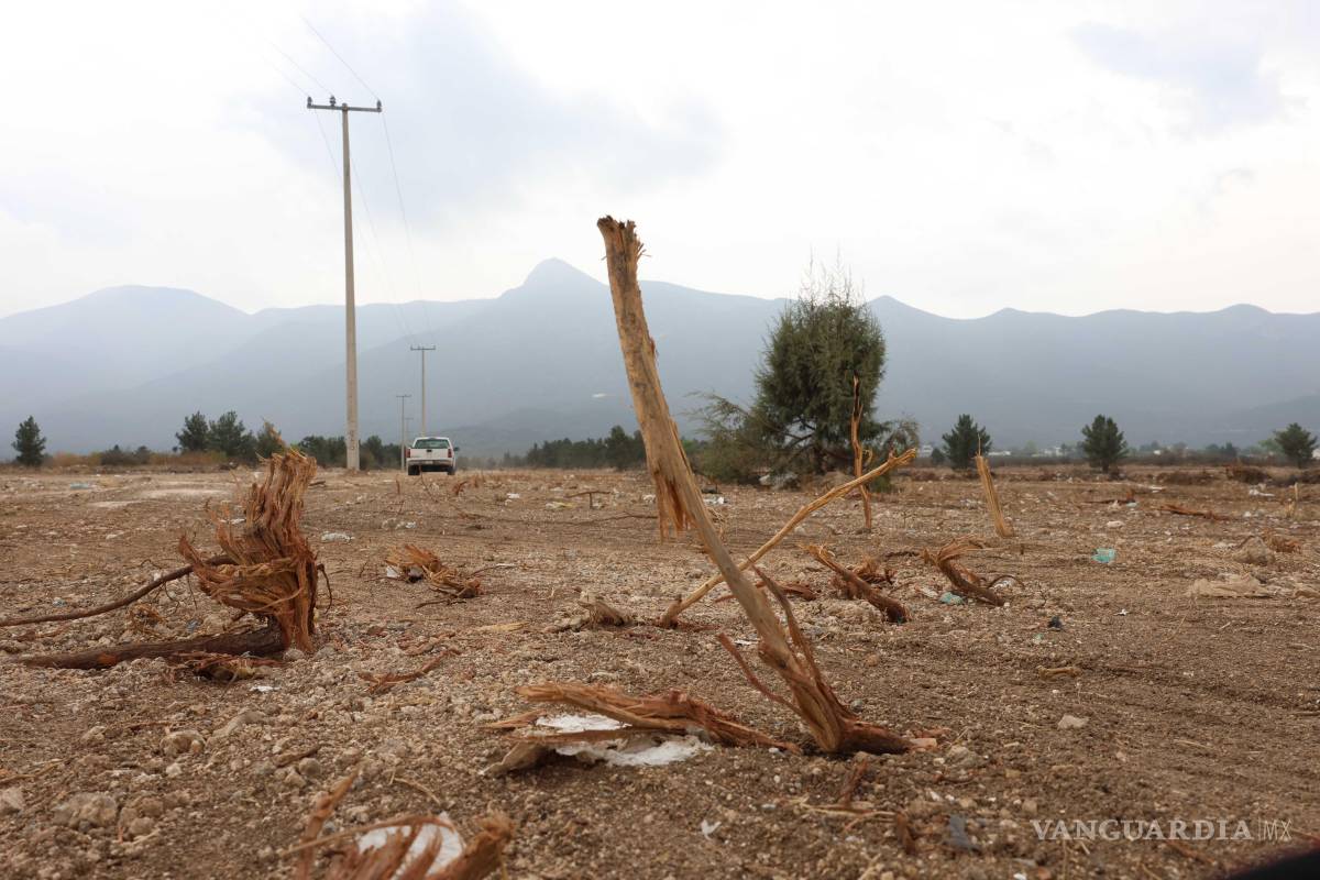 $!La SMA clausuró las actividades de desmonte en un terreno dentro de la zona de restauración de la Sierra de Zapalinamé, ante la afectación a mil metros cuadrados de reserva natural.