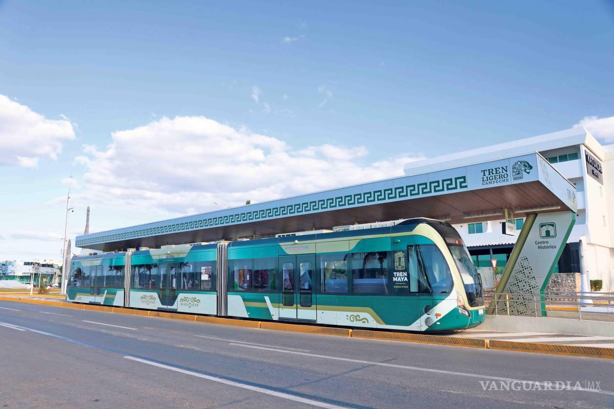 $!Registran pérdidas de 6 mmdp por Tren Maya y hoteles