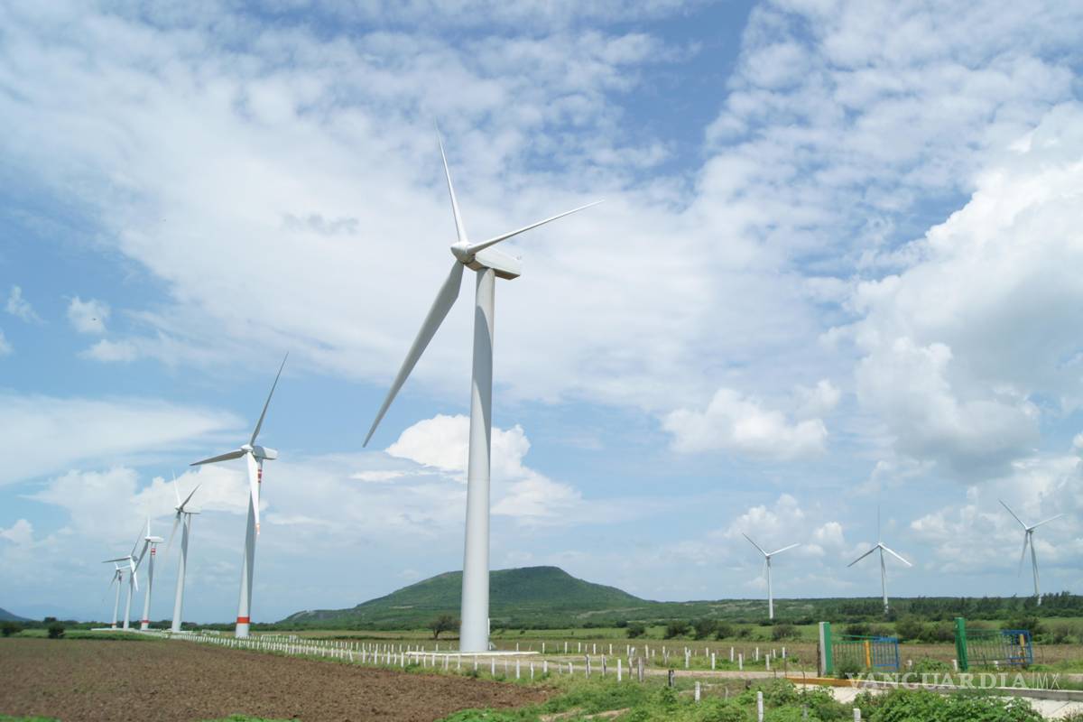 Coahuila: entre los estados con mayor capacidad de energía eólica instalada