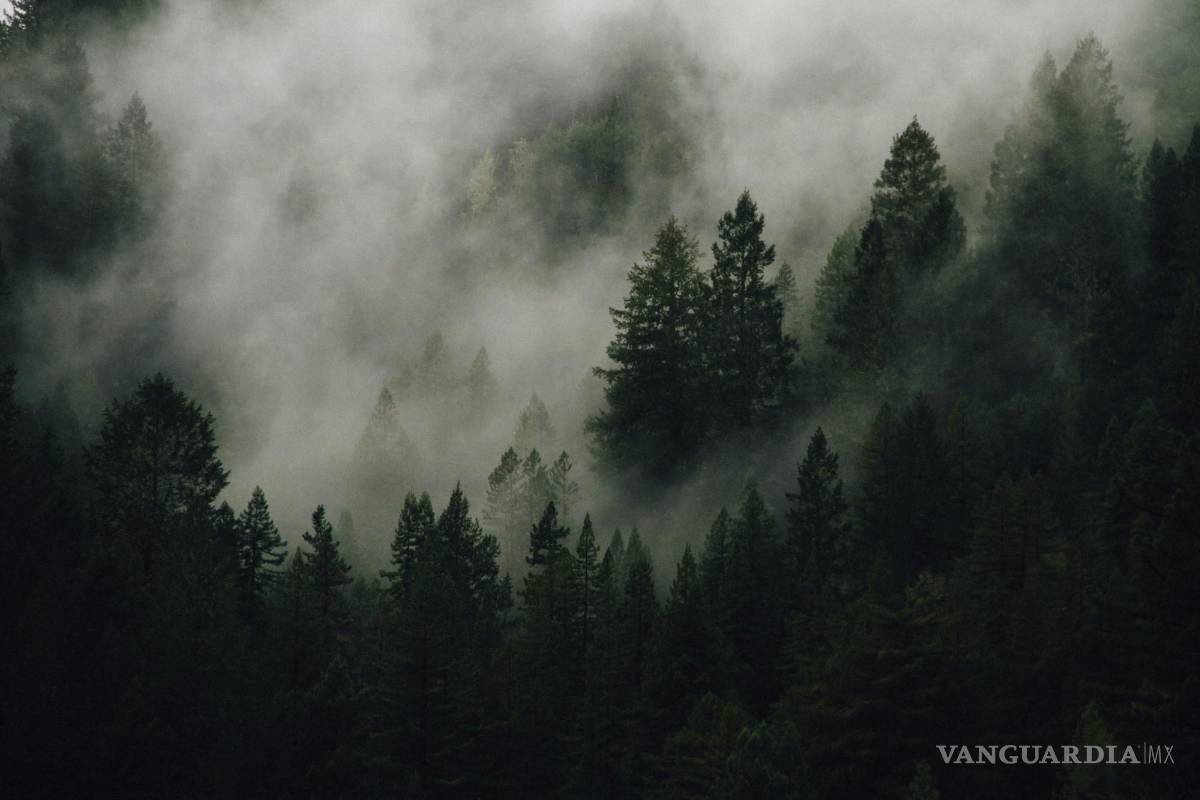 $!Las mejores investigaciones han tratado de averiguar cómo ciertos aspectos del día afectan al estado de ánimo.