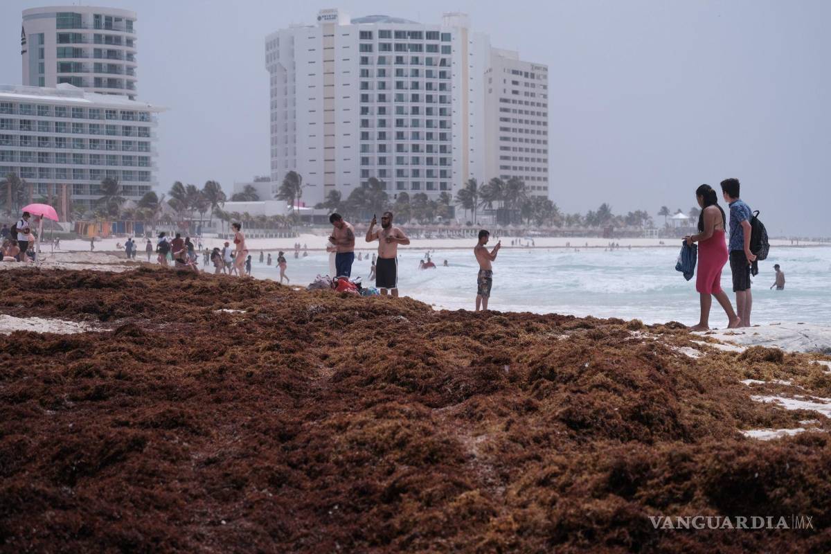 $!Aspectos de la playa en este destino turístico, con el arribo de una gran cantidad de sargazo a las costas de Quintana Roo.