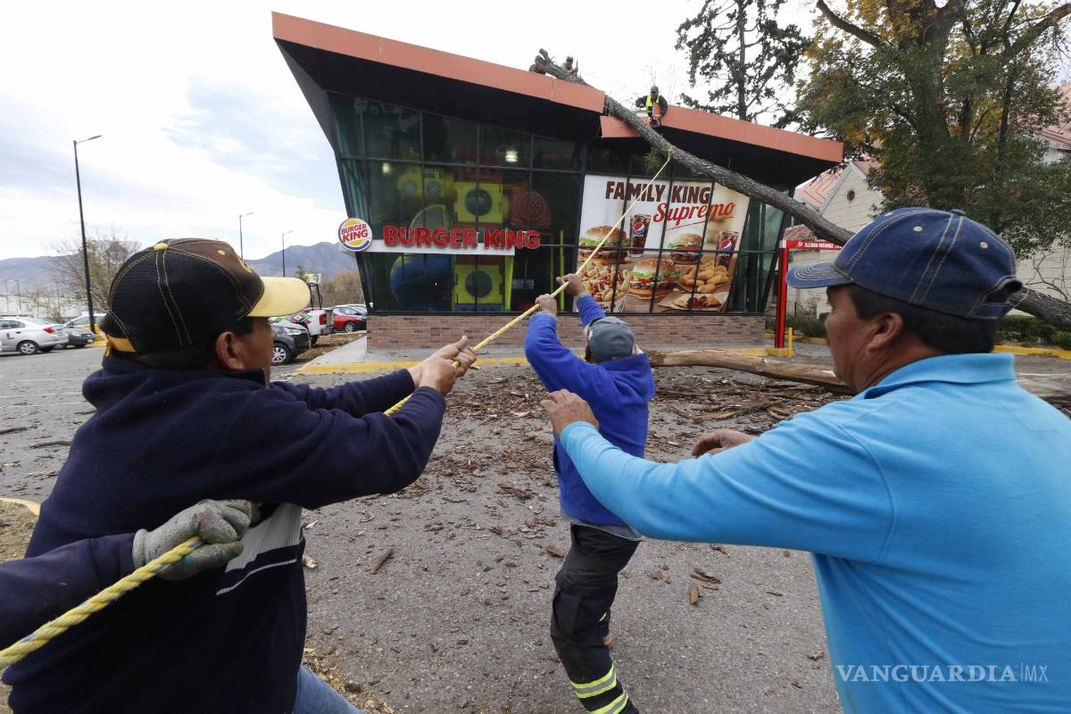 $!Árbol cae sobre restaurante en plaza comercial de Saltillo