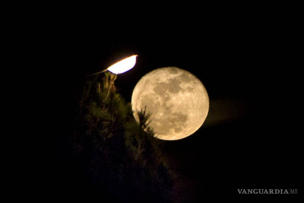 $!Imágenes Vanguardia 2017