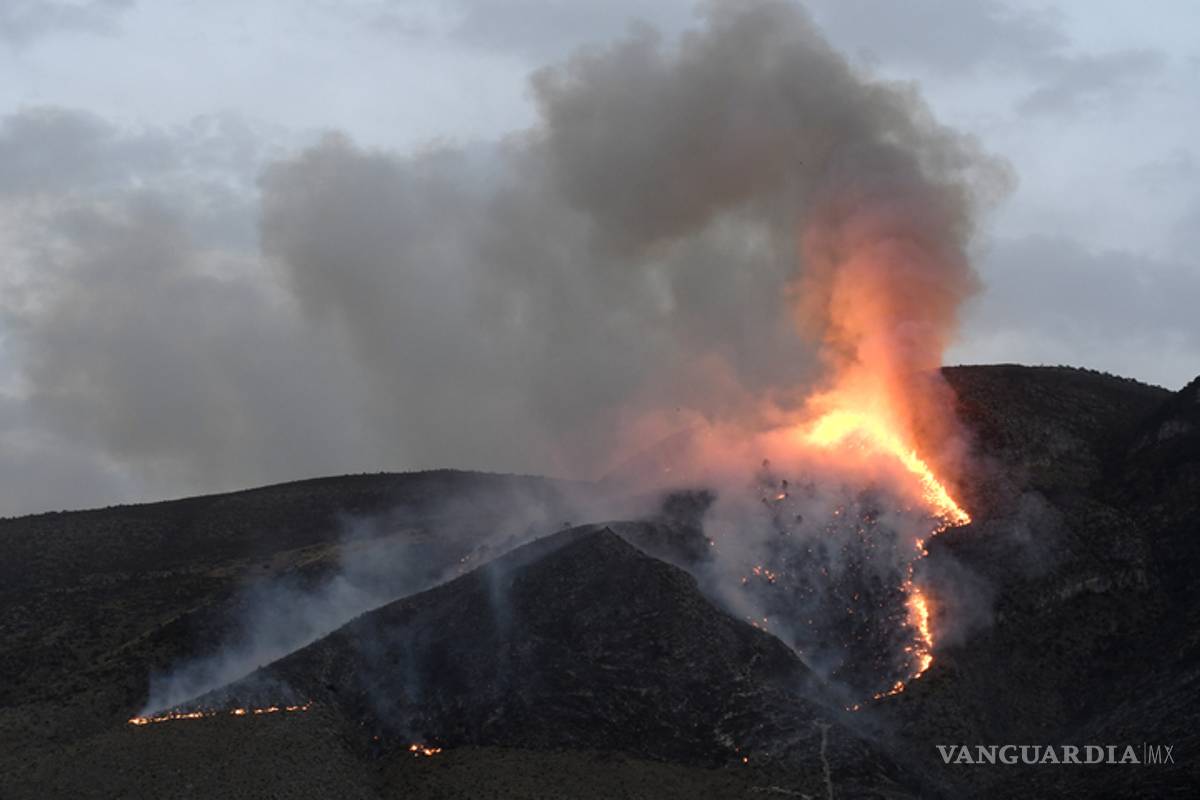 Conafor reporta 37 incendios forestales activos en México