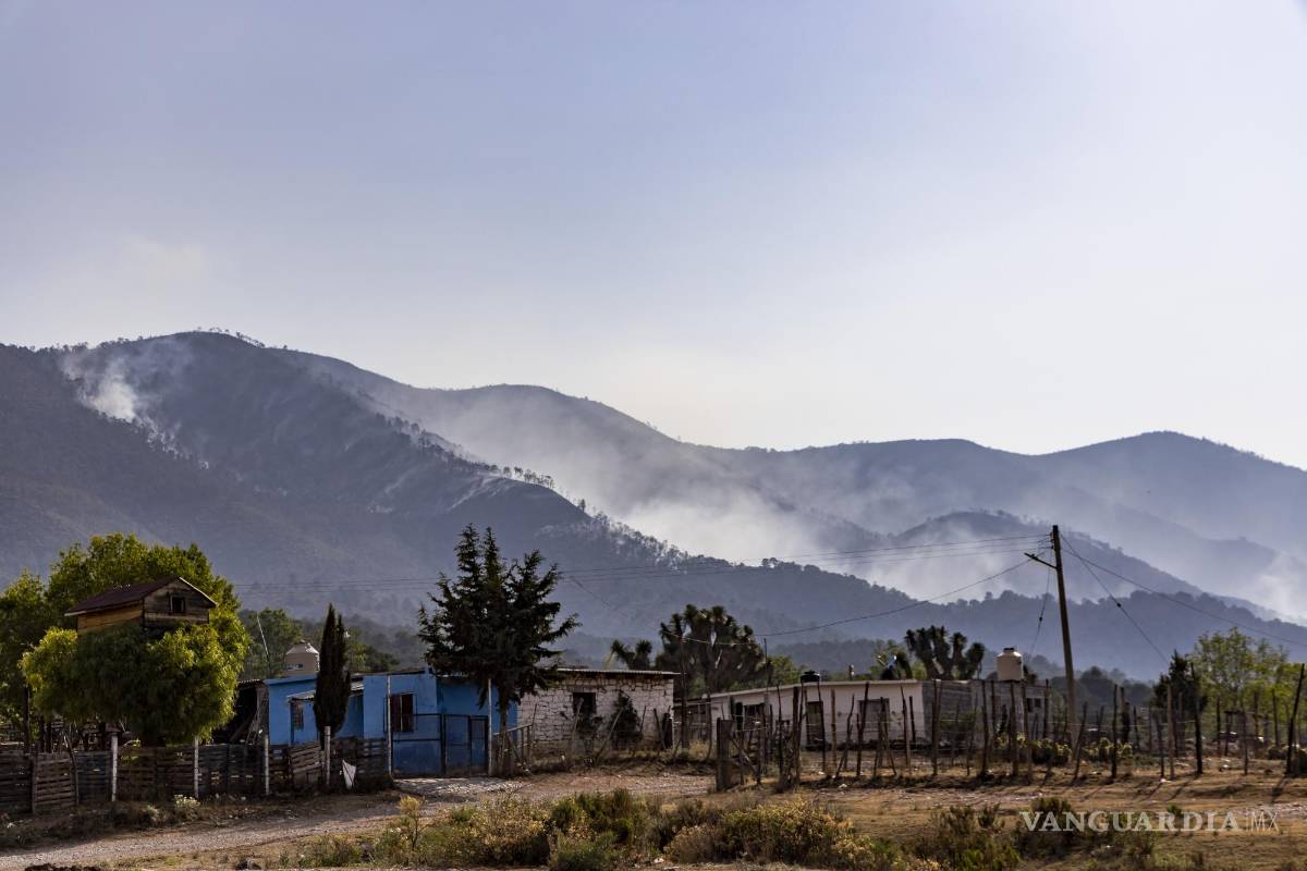 Pese a declararlos extintos, puntos calientes reactivaron incendios en Arteaga